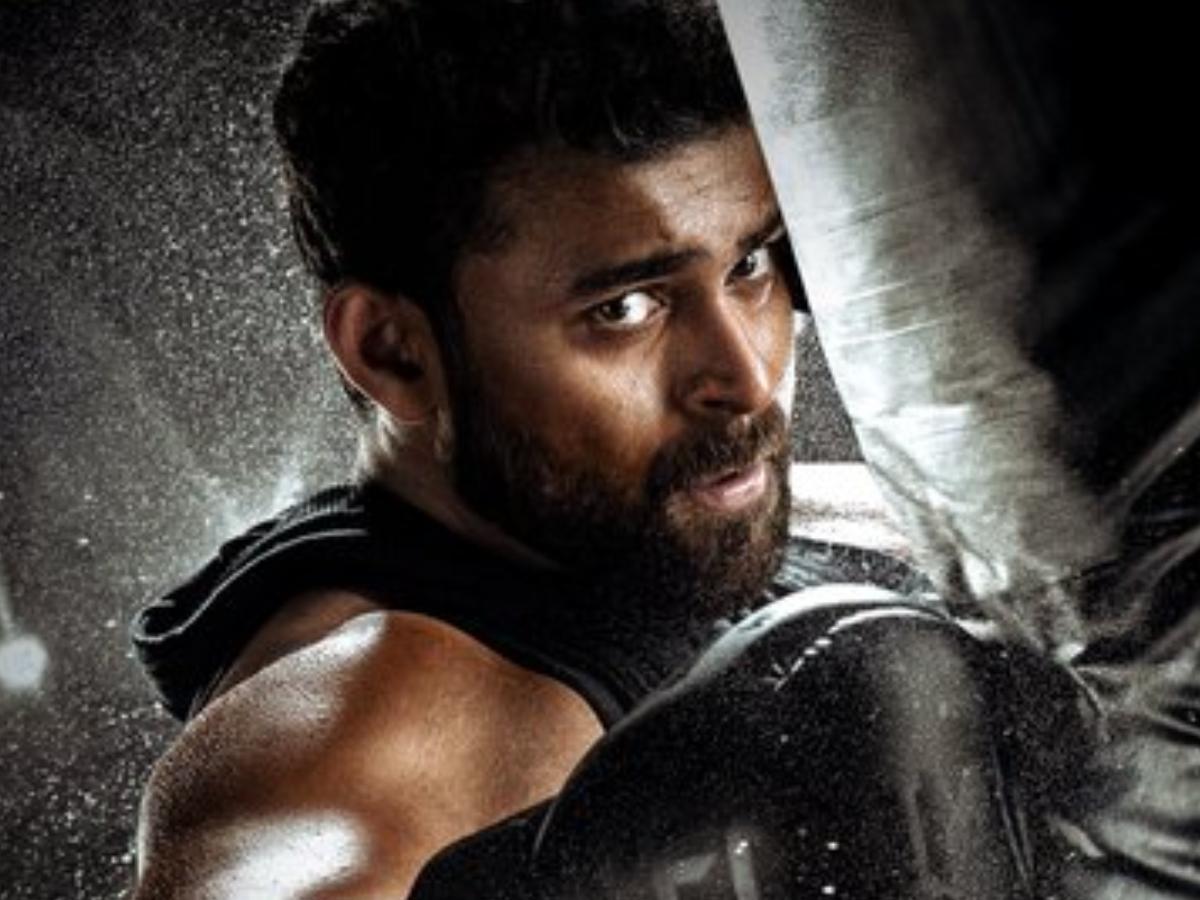 Ghani Movie Total Box Office Collection