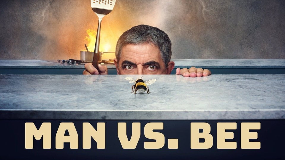 Man Vs Bee