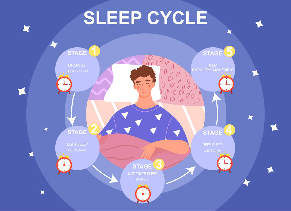 Sleep cycle infrographics Best Apps For Students, Learning Apps, Education Tools, Student Life, Top Apps for Students