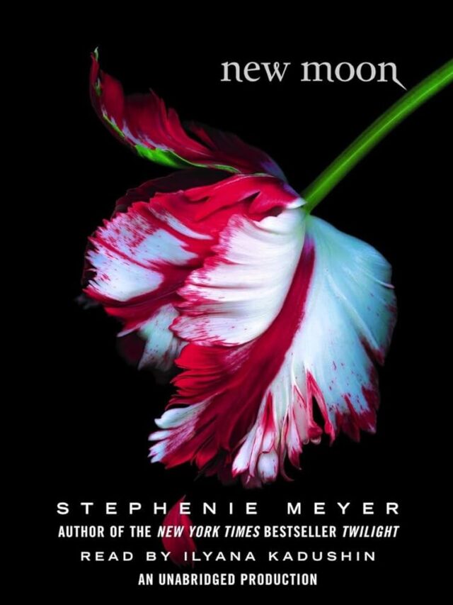 5 Romantic Novels That Will Make Your Heart Race – Are You Reading These Books?