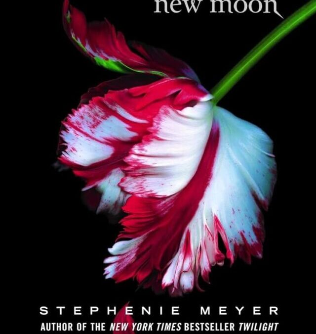 5 Romantic Novels That Will Make Your Heart Race – Are You Reading These Books?