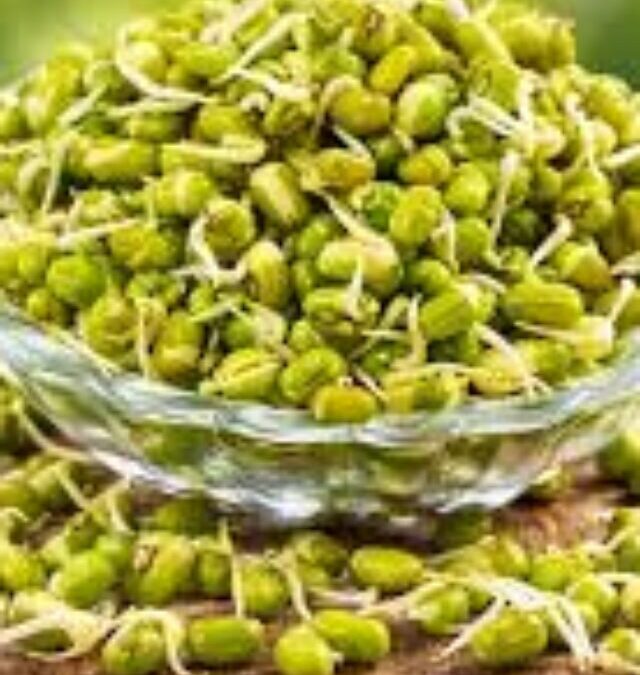 Health Booster or Hidden Risk? Know These 4 Things Before Eating Sprouts Daily