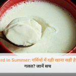 एक मिट्टी के बर्तन में ताजा जमा हुआ दही और पास में रखी पुदीने की पत्तियां, जो Curd In Summer के फायदे दर्शाती हैं।