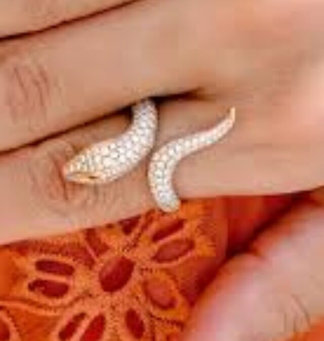 Snake Design Ring Craze Is Winning Every Girl’s Heart This Season!