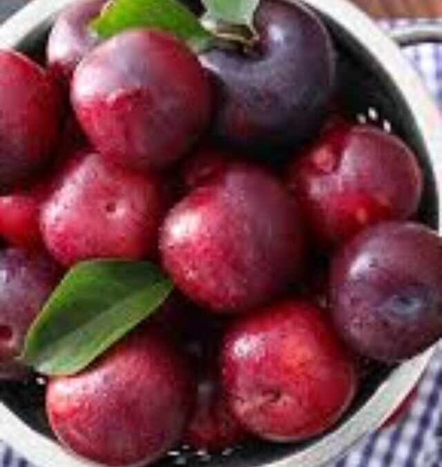 Quick Plum Recipes That Will Have Kids Asking for More