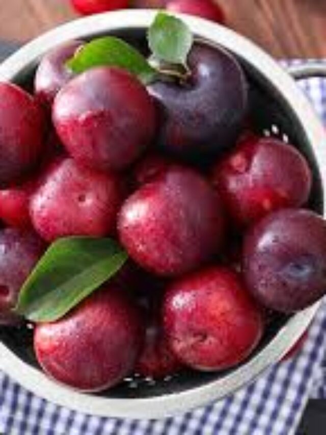 Quick Plum Recipes That Will Have Kids Asking for More